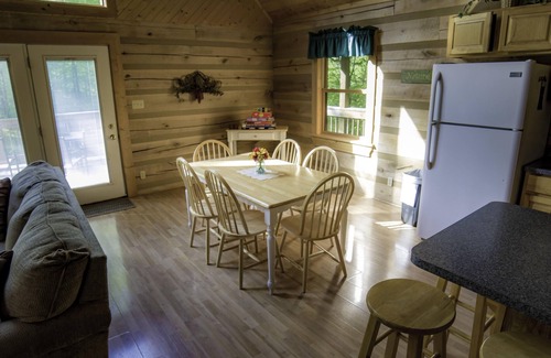 Helmsburg Cabin | Sweet and Secluded Log Home with Outdoor Hot Tub!