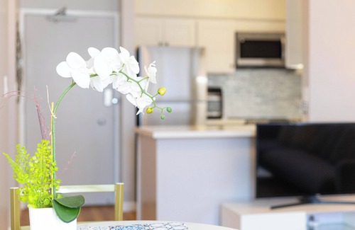 Ala Moana Apartment | Sweet & Cozy in Honolulu Free WIFI & AC