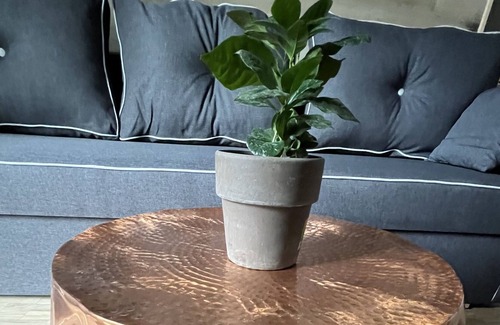 Outer Neustadt Apartment | Sweet Home Inside Dresden Two