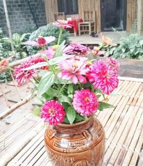 Mai Chau House | Sweet Mai Châu Homestay