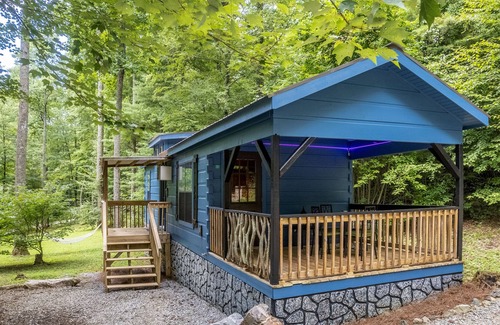 Hendersonville Cabin | Sweet mountain cabin with covered deck, firepit & hammock
