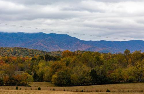Cosby House | Sweet Mountain Memories Relax affordably cozy cabin with hot tub, game room, and mountain views!