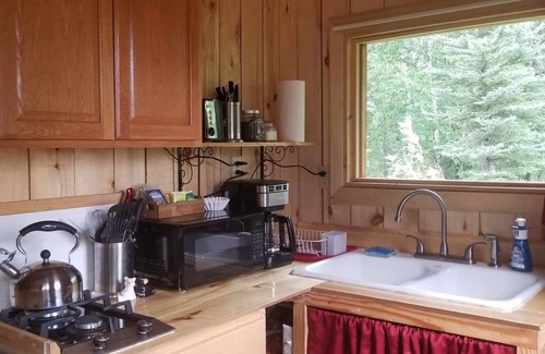 Clear Cabin | Sweet Seclusion Cabin with Shower
