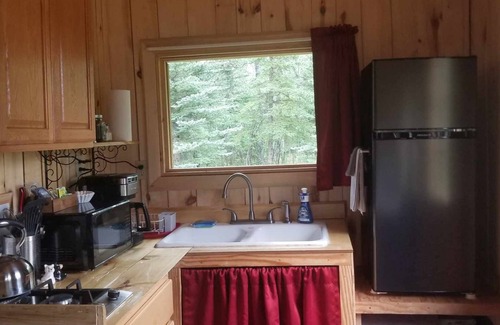 Clear Cabin | Sweet Seclusion Cabin with Shower