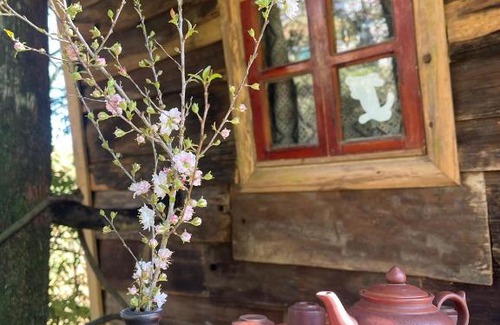 Sa Pa Cabin | Swing Sa Pa Homestay