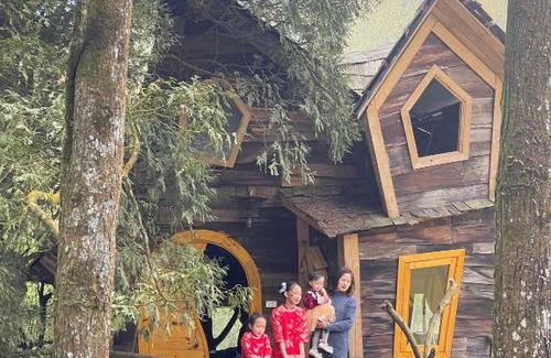 Sa Pa Cabin | Swing Sa Pa Homestay