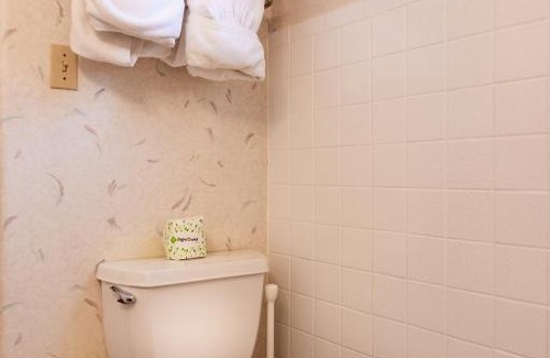 Heber Hotel | Swiss Alps Inn