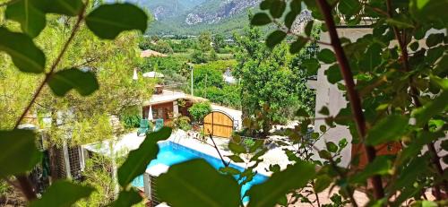 Adrasan Hotel | Swiss Eviniz Hotel
