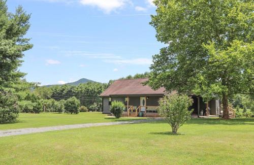 Afton House | Sycamore Shade