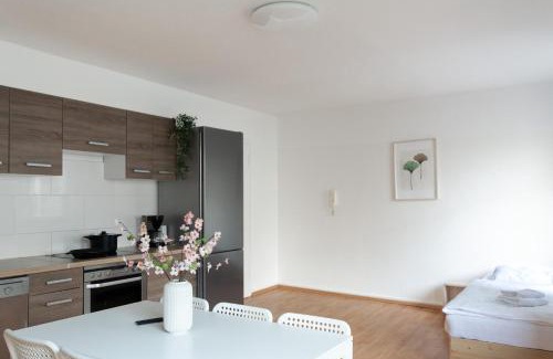 Altstadt I Apartment | T&K Apartments - 3 Room Apartment