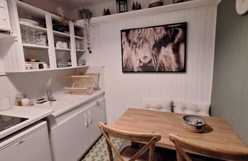 Le Sauze Apartment | T1 at the foot of the slopes in Le Sauze with magnificent views in summer and winter!