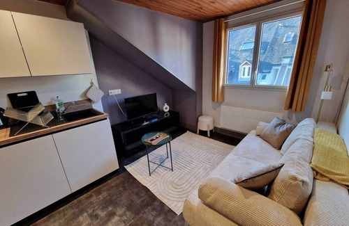 Bagneres-de-Bigorre Apartment | T2 attic in the city center, Le Monne