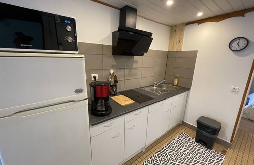 Laveissiere Apartment | T2 Vassivière à Font D'Alagnon