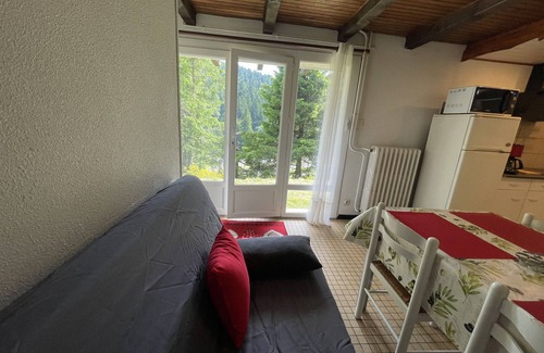 Laveissiere Apartment | T2 Vassivière à Font D'Alagnon