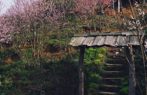 Sa Pa Bed & Breakfast | Ta Phin Cottage