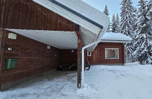 Tahkovuori Ski Chalet | Tahko Villa Vaarna