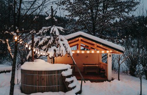 Viseu de Sus House | Talhaus