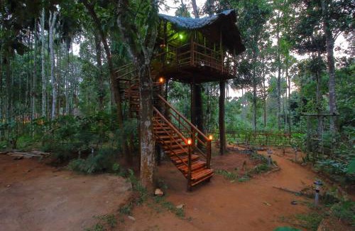 Kidanganad Villa | Tall Trees - Modern forest Villa in Wayanad