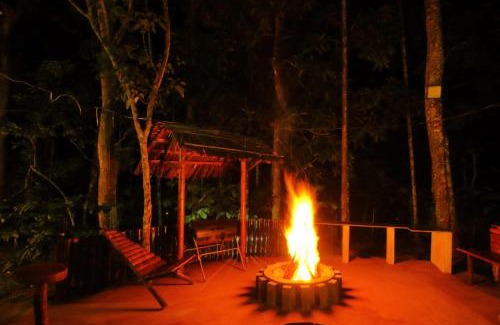 Kidanganad Villa | Tall Trees - Modern forest Villa in Wayanad