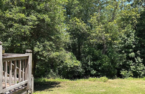 Wiley Apartment | Tallulah Gorge Guest Suite One & Two