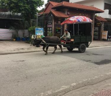 Hoa Lu House | Tam Coc Family Friendly Homestay