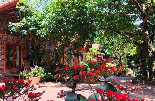 Hoa Lu House | Tam Coc Friendly Homestay
