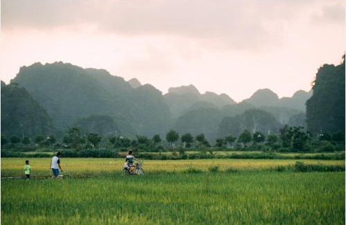 Hoa Lu Cabin | Tam Coc Windy Fields