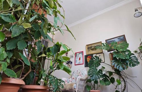 Telavi House | Tamari Guest House
