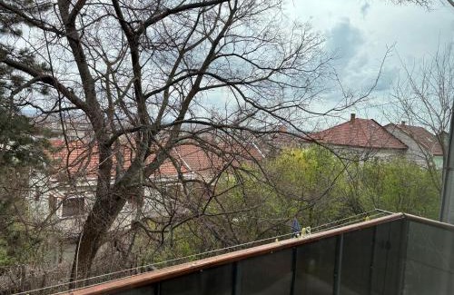 Oradea Apartment | Tau Central Apartment