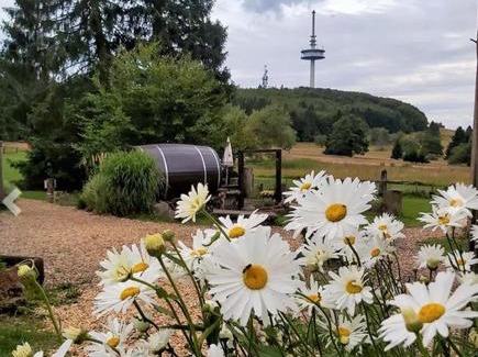 Schotten Hotel | Taufsteinhütte
