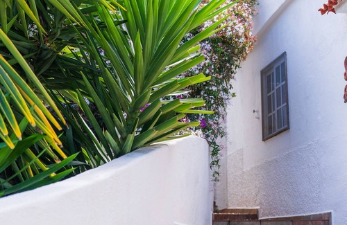 Cueva del Viento Cottage | Teide Eco Harmony
