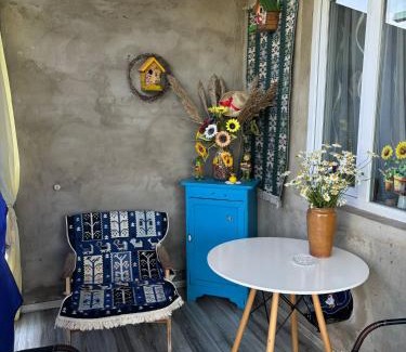 Mirzaani House | television