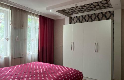 Mirzaani House | television