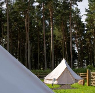 Ford Other | Tent 3
