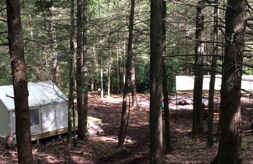 Jim Thorpe RV Rental | Tentrr Signature Site - Retreat on Bear Creek