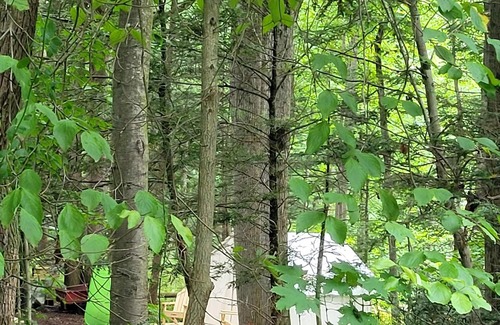 Tower City RV Rental | Tentrr Signature Site - Mountain Laurel Retreat
