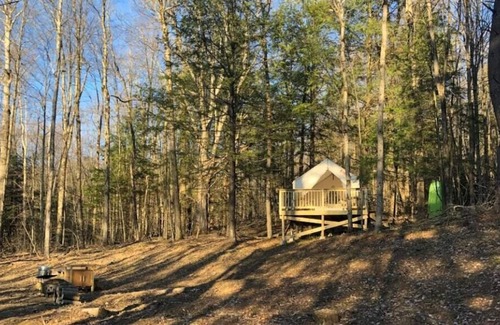 Spencer RV Rental | Tentrr Signature Site - Hart of the Woods