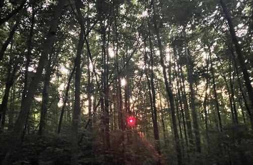 Lynn Other | Tentrr Signature Site - Mountain View in Tryon