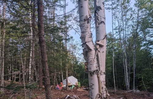 Chatham RV Rental | Tentrr Signature Site - Sunnyside @butterhillhdeaway