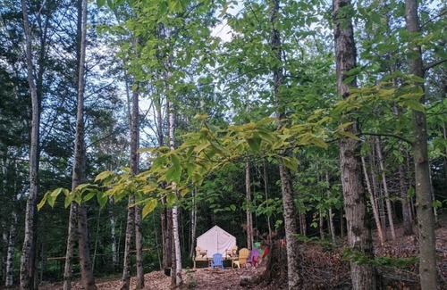 Chatham RV Rental | Tentrr Signature Site - Switchback @butterhillhideaway