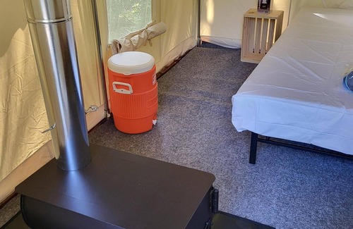 Arlington RV Rental | Tentrr Signature Site - Fern Gully Site 2