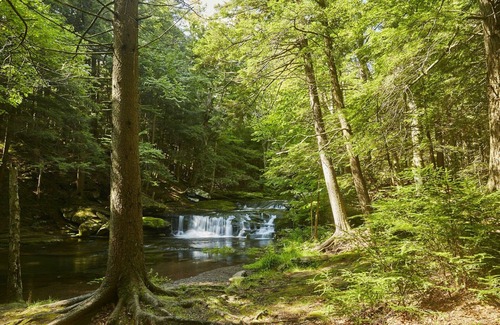 Elka Park RV Rental | Tentrr Signature Site - High Peak Meadows Camp NY