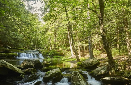 Elka Park RV Rental | Tentrr Signature Site - High Peak Meadows Camp NY