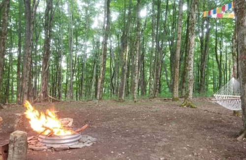 Hartwick RV Rental | Tentrr Signature Site - Briar Hill Respite