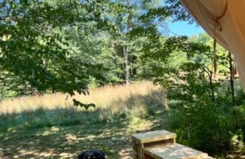 Long Eddy RV Rental | Tentrr Signature Site - Birch Meadow Retreat