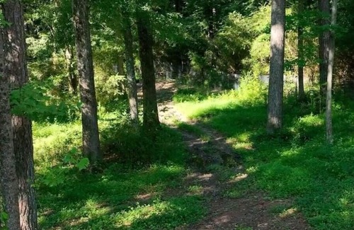 Powder Springs RV Rental | Tentrr Signature Site - Back 40 Shanty B
