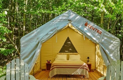 Talisheek RV Rental | Tentrr State Park Site - Louisiana Bogue Chitto State Park - Bike Trail D - Sing
