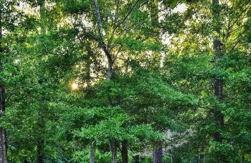 Mandeville RV Rental | Tentrr State Park Site - Louisiana Fontainebleau State Park - Teepee Field A - S
