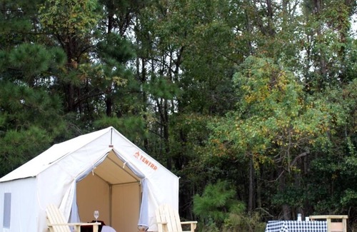 Mandeville RV Rental | Tentrr State Park Site - Louisiana Fontainebleau State Park - Teepee Field C -