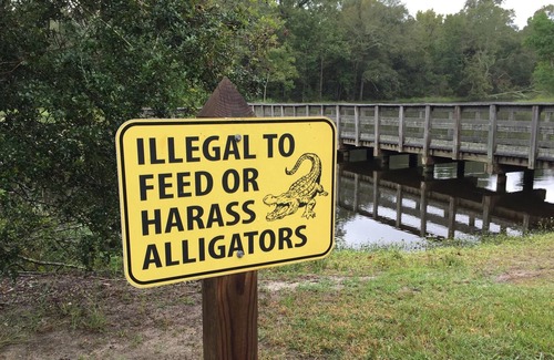 Mandeville RV Rental | Tentrr State Park Site - Louisiana Fontainebleau State Park - Pond View E - Sing
